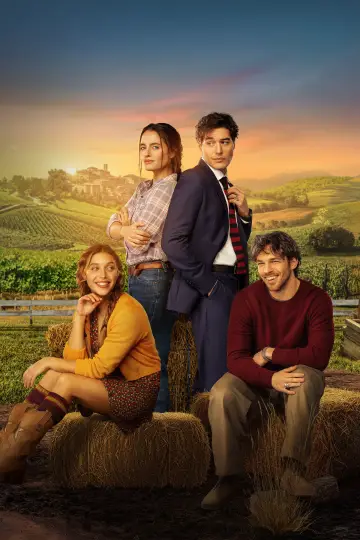 Plakat do filmu "Non è un paese per single" #815932