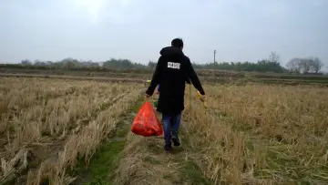 Zasłona do filmu "Qingchun: Gui" #928009