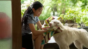 Zasłona do filmu "โกฮัง..หัวใจโกโฮม" #796479
