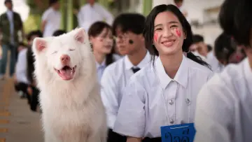 Zasłona do filmu "โกฮัง..หัวใจโกโฮม" #796482