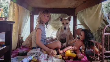 Zasłona do filmu "Dziś wieczorem nie schodźmy na psy" #564526