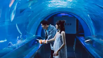 Zasłona do filmu "有病才會喜歡你" #620719