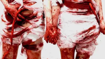 Zasłona do filmu "2 Girls 1 Gut" #882093
