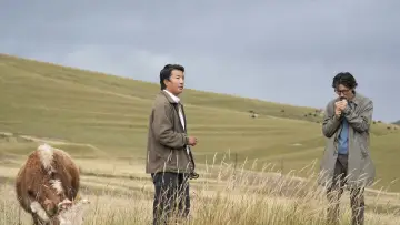 月光里的男孩