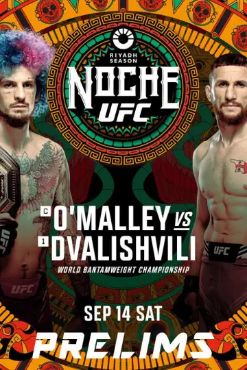 Plakat do filmu "UFC 306: O