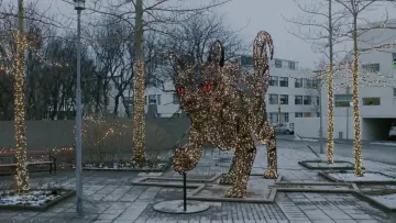 Zasłona do filmu "The Christmas Quest" #682247