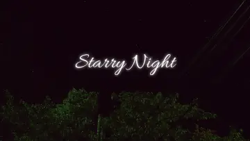 Zasłona do filmu "Starry Night" #745019