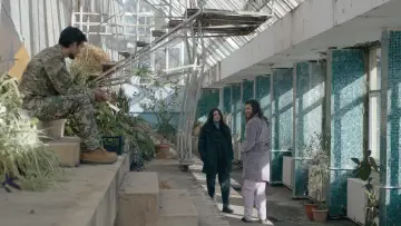 Zasłona do filmu "Nu mă lăsa să mor" #1141135