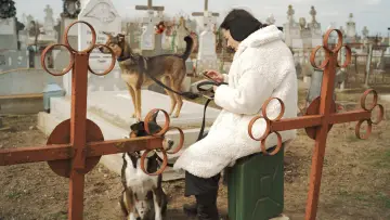 Zasłona do filmu "Nu mă lăsa să mor" #1141163
