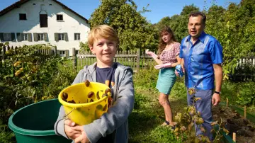 Zasłona do filmu "Steckerlfischfiasko" #1528517