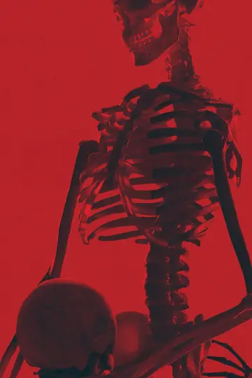 Plakat do filmu "Bone Lake" #532180