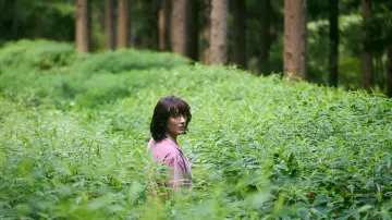 Zasłona do filmu "ルート29" #1920477