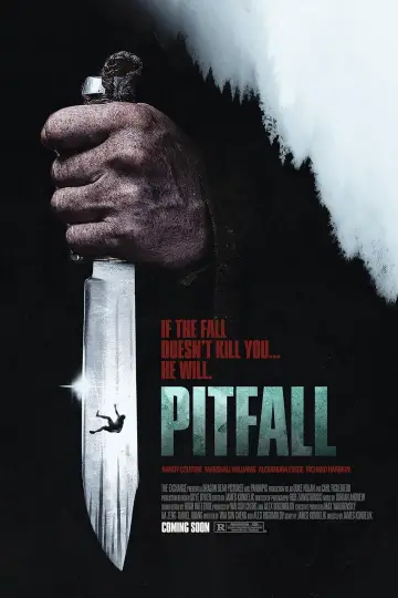 Plakat do filmu "Pitfall" #818056