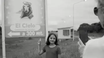 Zasłona do filmu "Wiadomość" #771770
