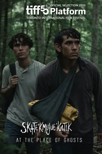 Plakat do filmu "Sk+te