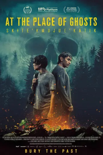 Plakat do filmu "Sk+te