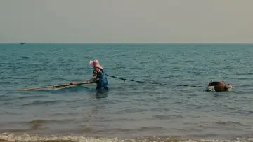 Zasłona do filmu "蓝海" #769696