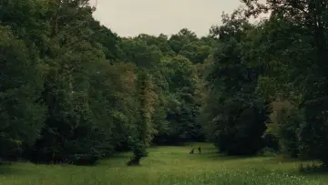 Zasłona do filmu "Henry