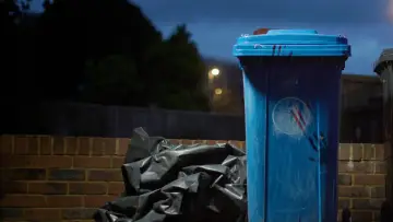 Zasłona do filmu "Body in the Bin: The Murder of Louise Kam" #942641