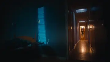 Zasłona do filmu "Mulm" #1158742
