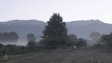 Zasłona do filmu "Ο Τελευταίος Νομάς" #794043