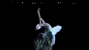 Zasłona do filmu "English National Ballet: Swan Lake" #881594