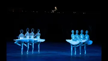 Zasłona do filmu "English National Ballet: Swan Lake" #881595