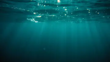 Zasłona do filmu "At Sea" #786894