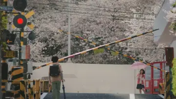 Zasłona do filmu "秒速5センチメートル" #531726
