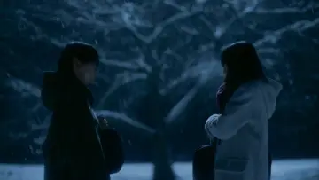 Zasłona do filmu "秒速5センチメートル" #764013
