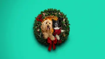 Zasłona do filmu "Happy Howlidays" #931397