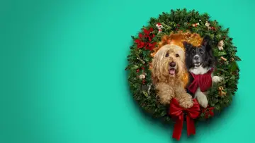 Zasłona do filmu "Happy Howlidays" #931399
