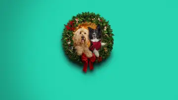 Zasłona do filmu "Happy Howlidays" #931400