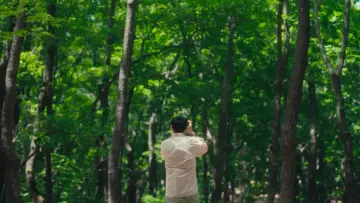 Zasłona do filmu "여름의 카메라" #829864