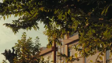 Zasłona do filmu "여름의 카메라" #830137