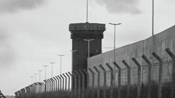 Zasłona do filmu "O Grito" #942295