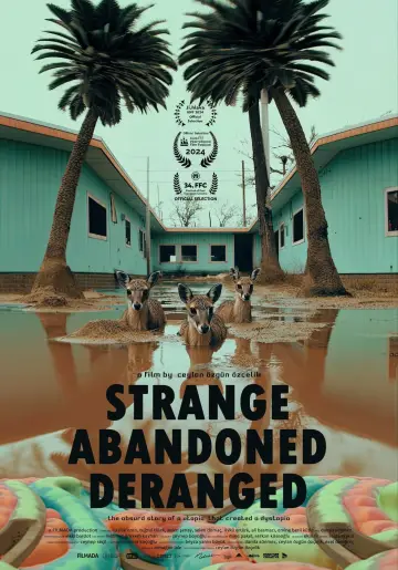 Plakat do filmu "Hiçbir Şey Normal Değil" #685933