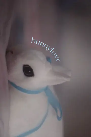 Plakat do filmu "Bunnylovr" #1210652