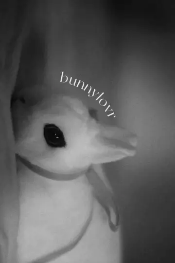 Plakat do filmu "Bunnylovr" #1210653