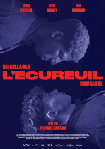 L'Écureuil