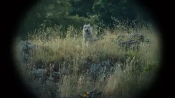 Zasłona do filmu "Nebelkind: Konec ticha" #716750