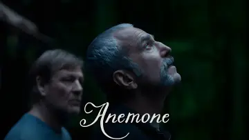 Zasłona do filmu "Anemon" #796277