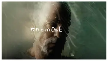 Anemon