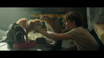 Zasłona do filmu "Kyma, l