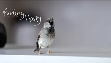 Zasłona do filmu "Finding Happy" #1574878