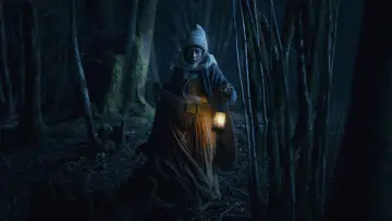 Zasłona do filmu "Gaua" #782802