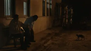 Zasłona do filmu "Ayşe" #738869