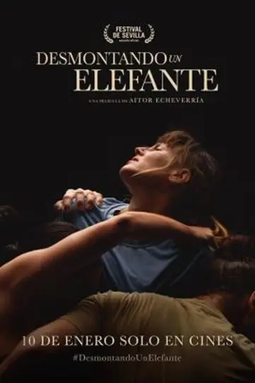 Desmontando un elefante