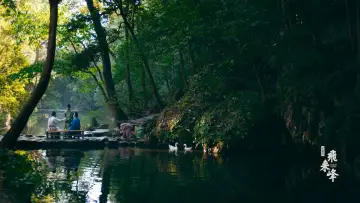 Zasłona do filmu "飞来峰" #881064