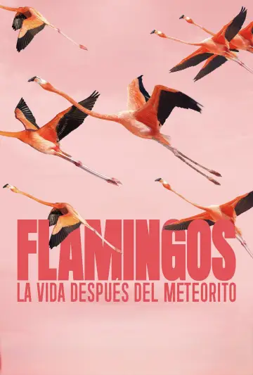 Flamingos: La vida después del meteorito